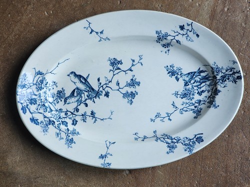 Luneville fauvette faience - kg,