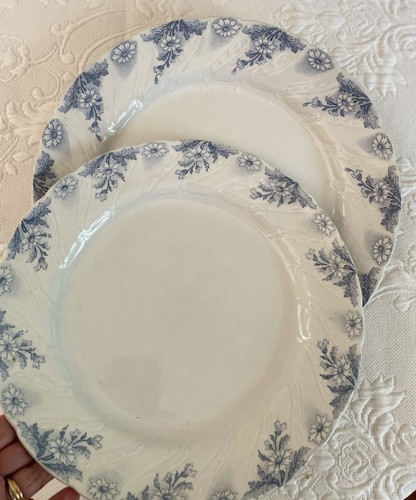 Lot plats rond - plats,